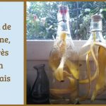 L’eau de banane, un très bon engrais