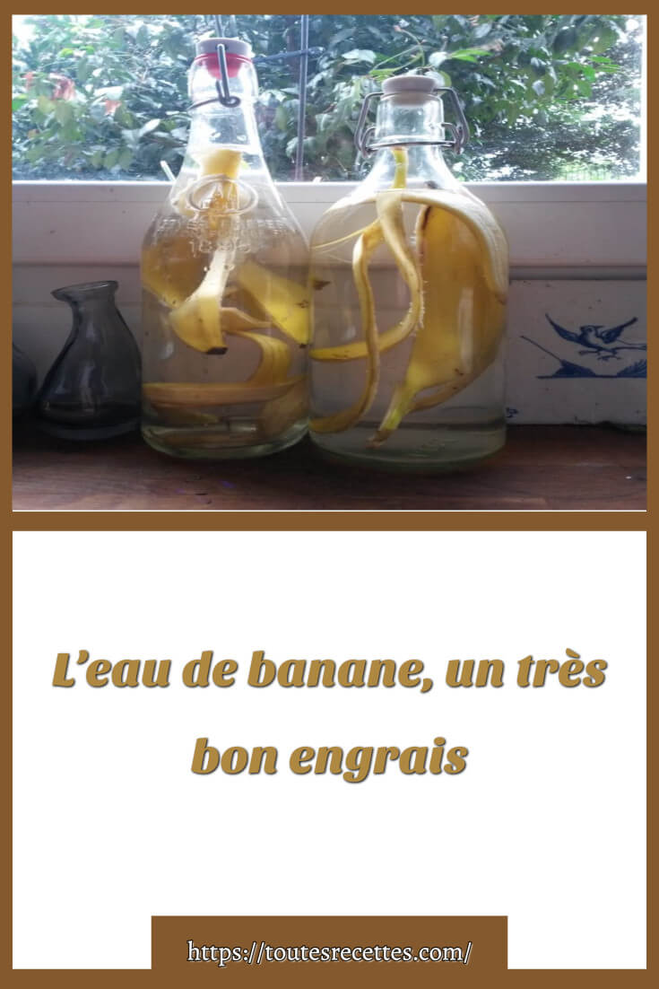 L’eau de banane, un très bon engrais Toutes Recettes