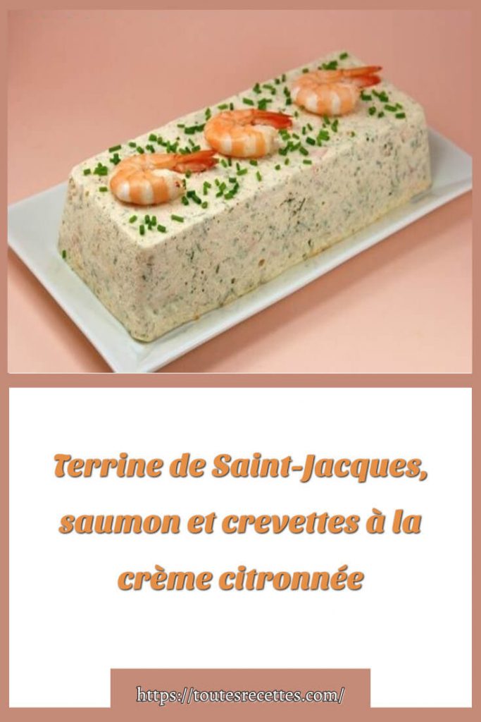 Comment préparer le Terrine de Saint-Jacques, saumon et crevettes à la crème citronnée