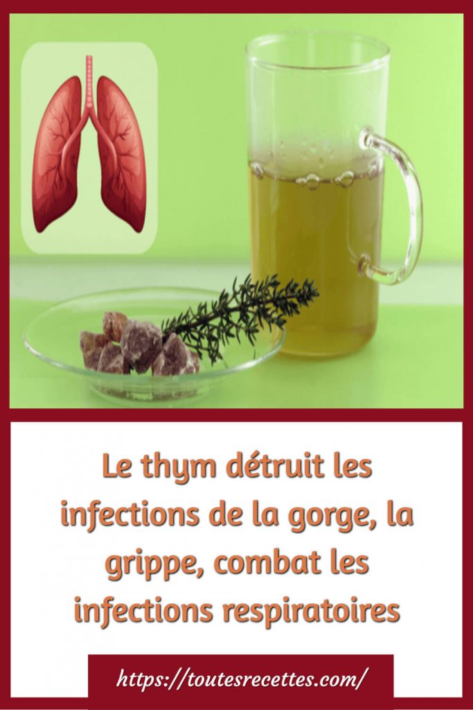 Le thym détruit les infections de la gorge, la grippe, combat les infections respiratoires
