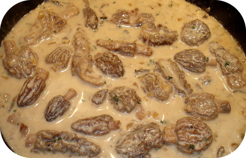 Sauce aux Morilles Une délicieuse sauce aux Champignons