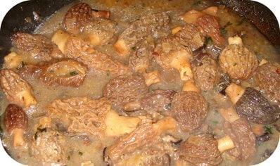 Comment préparer la Sauce aux Morilles etapes 