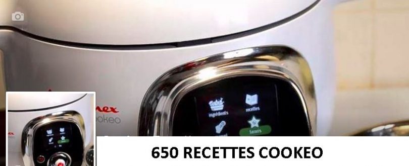 650 recettes cookeo en pdf – Toutes Recettes