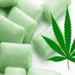 Un chewing-gum au cannabis pour soulager les douleurs de la fibromyalgie