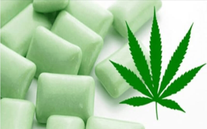 Un chewing-gum au cannabis pour soulager les douleurs de la fibromyalgie