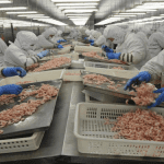 17 aliments provenant de Chine que vous ne devez plus consommer