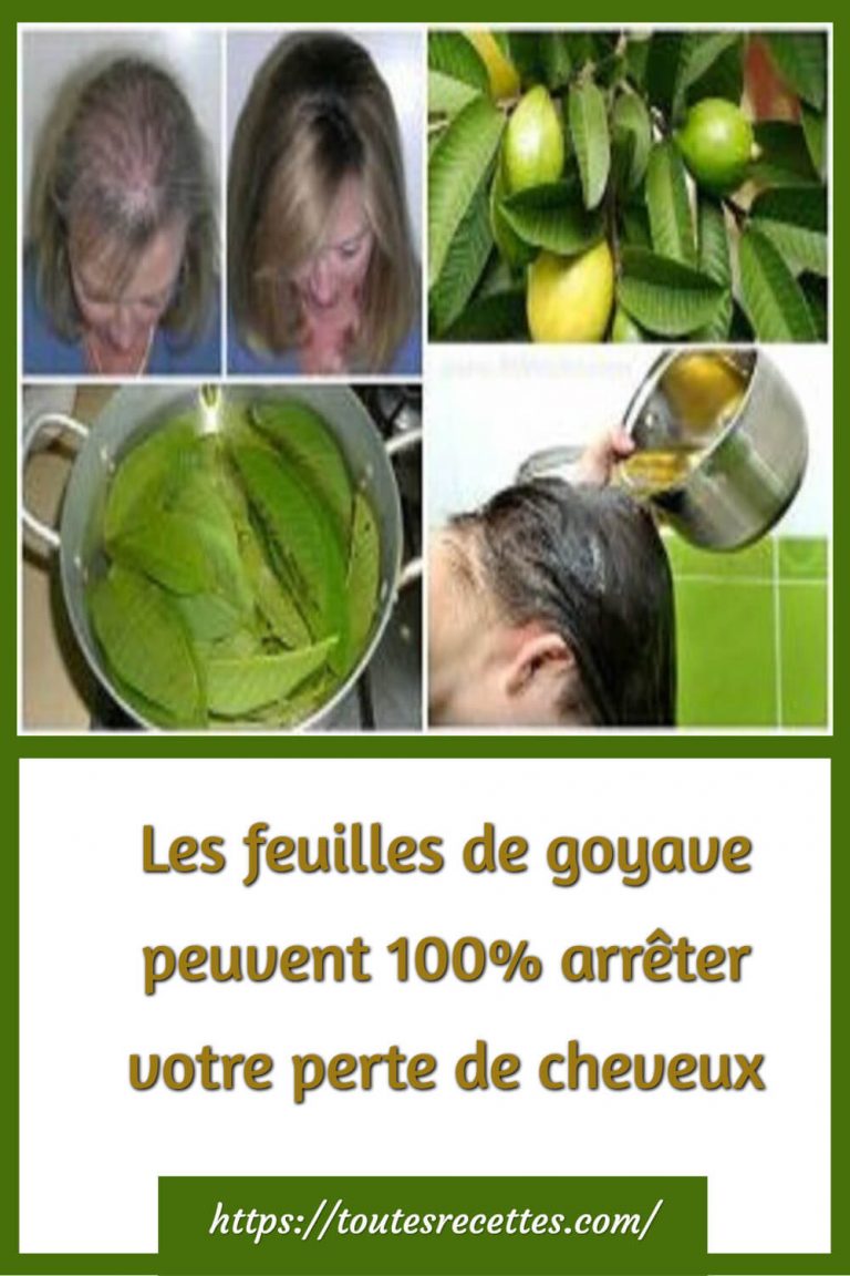 Les feuilles de goyave peuvent 100% arrêter votre perte de cheveux – Toutes Recettes