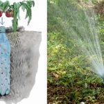 Comment Fabriquer un Arrosage Automatique Pour Tomates Avec une Bouteille