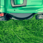 Pelouse : 5 astuces naturelles pour avoir un gazon au top du top !