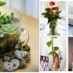 Plante aquatique – idées de déco pour évoquer l’étang dans l’intérieur