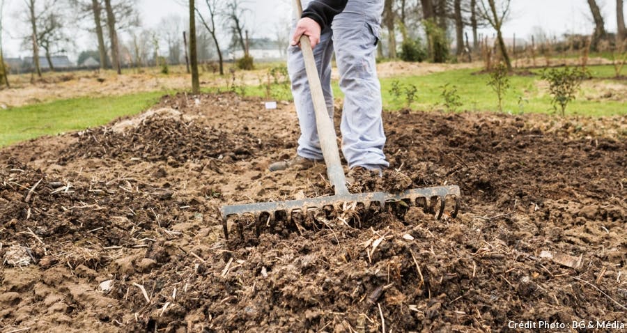 Mettre du compost et du fumier en pagaille