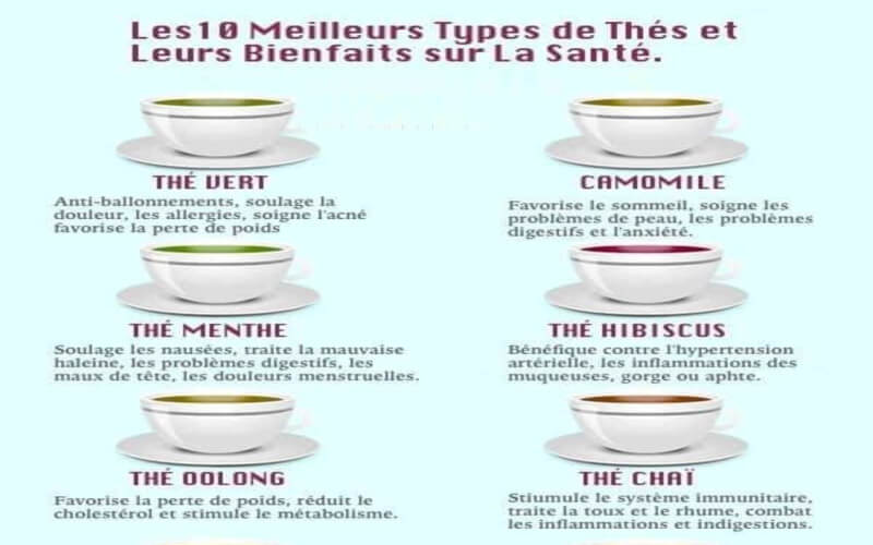 10 Meilleurs Types de Thé et Leurs Bienfaits sur la Santé