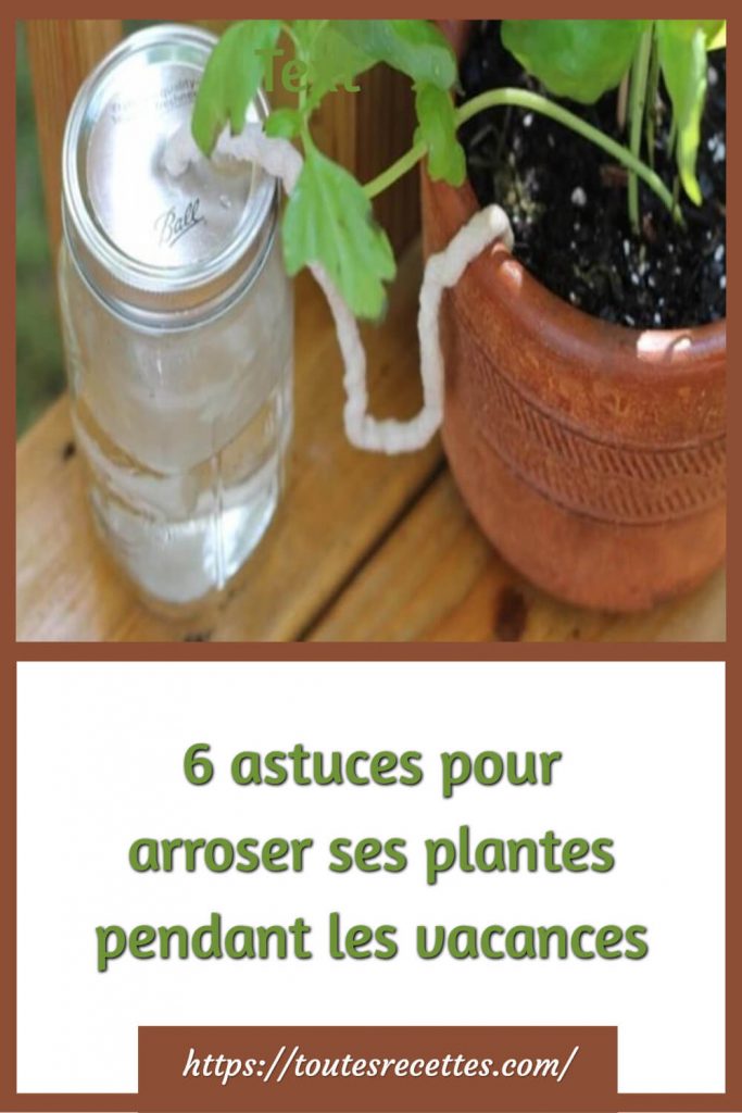 Comment arroser ses plantes quand on est en vacances ?