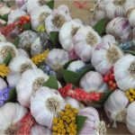 Les bienfaits de l'ail cette plante aux multiples vertus