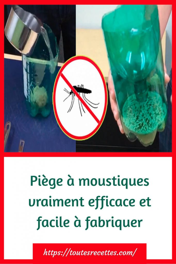 piège à moustiques facile à faire en 5 minutes