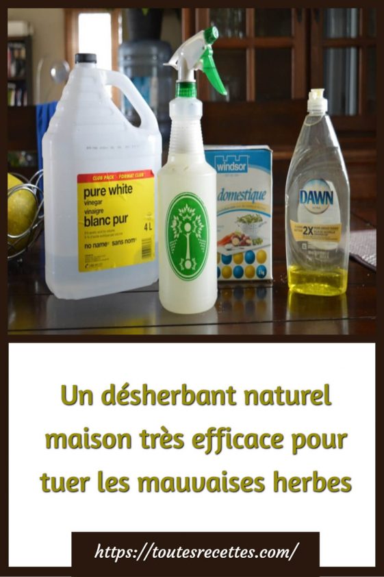 Un désherbant naturel maison très efficace pour tuer les mauvaises herbes Toutes Recettes