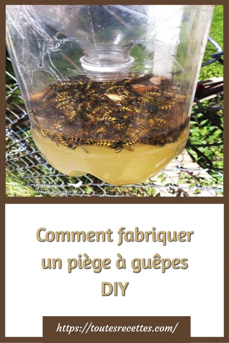 Comment fabriquer un piège à guêpes DIY Toutes Recettes — free download