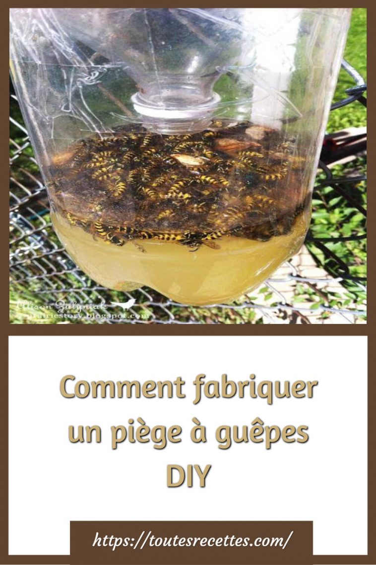 Comment fabriquer un piège à guêpes DIY Toutes Recettes — free download