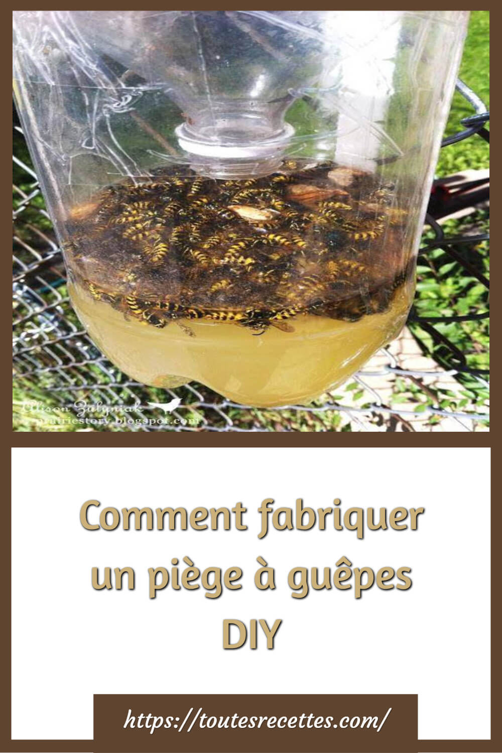 Comment fabriquer un piège à guêpes DIY Toutes Recettes — free download