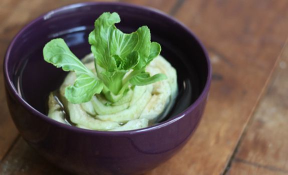 Astuces pour faire pousser les légumes: Le chou chinois