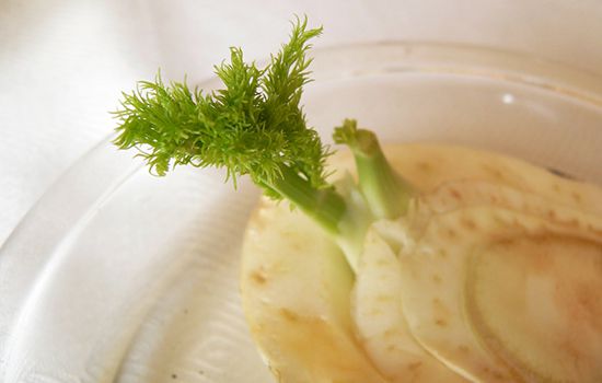 Astuces pour faire pousser les légumes: Le fenouil