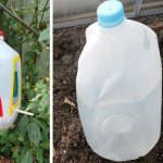 10 moyens de réutiliser les bidons en plastique pour révolutionner le jardinage