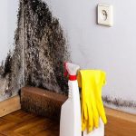 Comment Éliminer la Moisissure sans Produits Chimiques