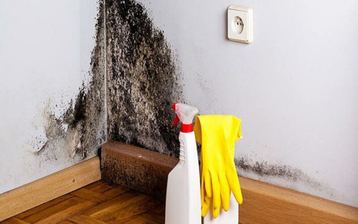 Comment éliminer les moisissures votre lave-linge – Toutes Recettes