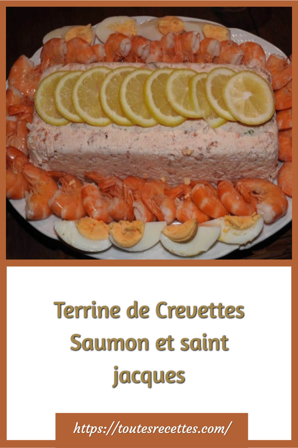 Terrine de Crevettes Saumon et saint jacques – Toutes Recettes