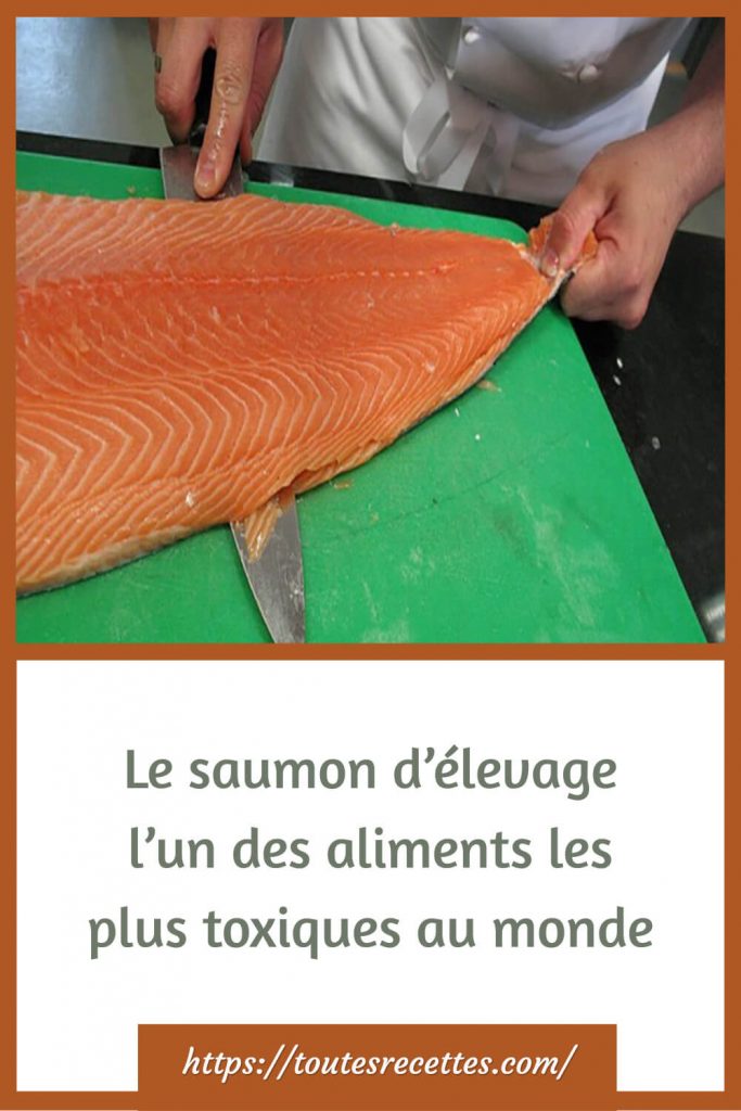Le saumon d’élevage l’un des aliments les plus toxiques au monde