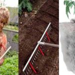 10 idées que tout amoureux du jardin devrait connaitre