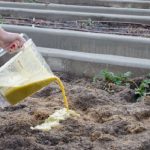 Engrais Pour Jardin Une Recette Naturelle Et Sans Frais