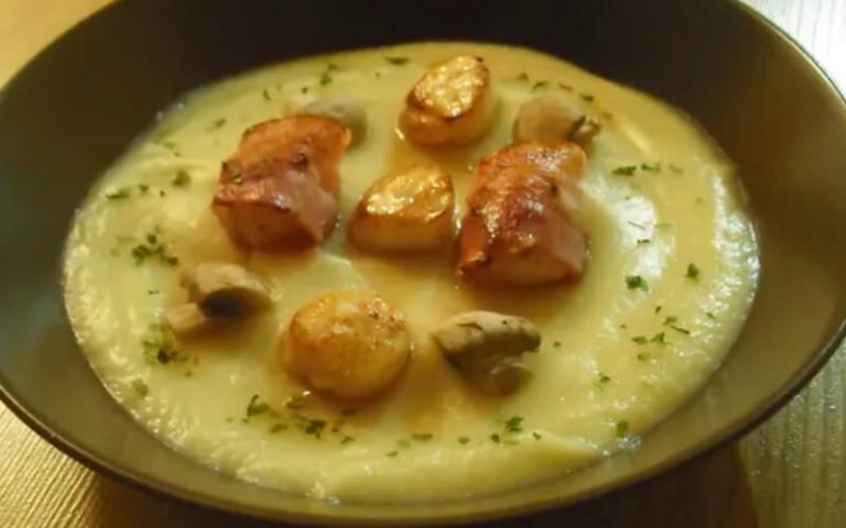 Recette Noix De Saint Jacques Surgelées à La Crème Noix de Saint-Jacques à la Crème de panais – Toutes Recettes