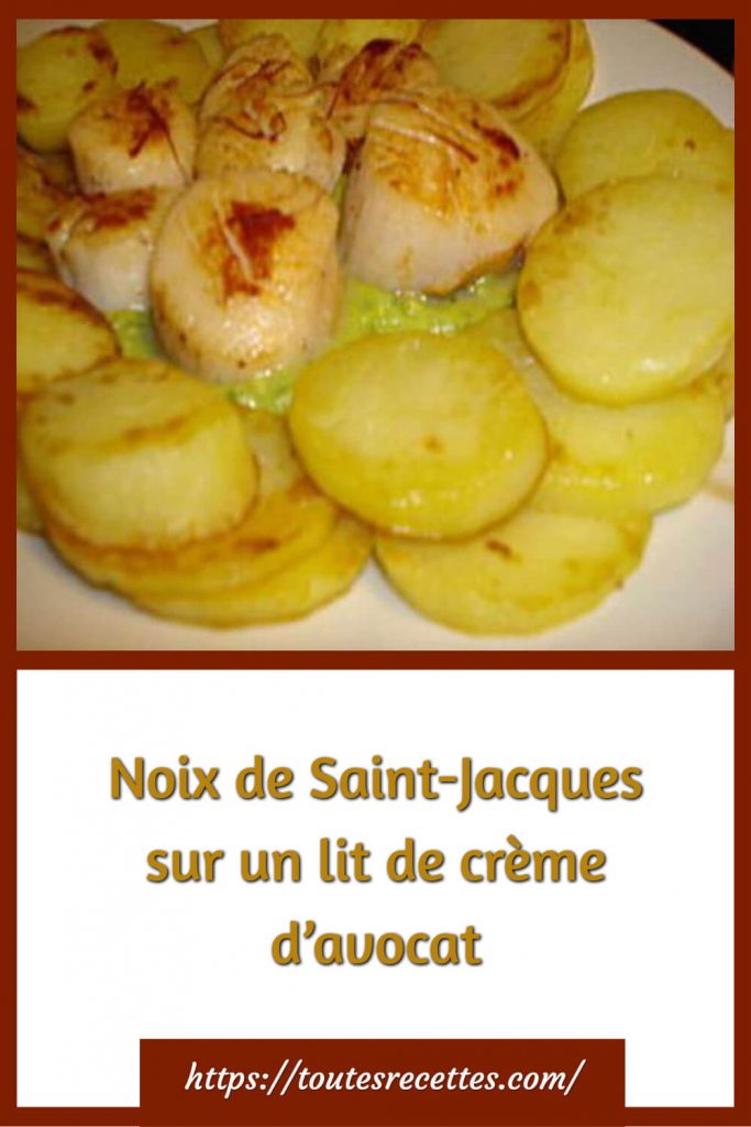 Comment préparer les Noix de Saint-Jacques sur un lit de crème d’avocat
