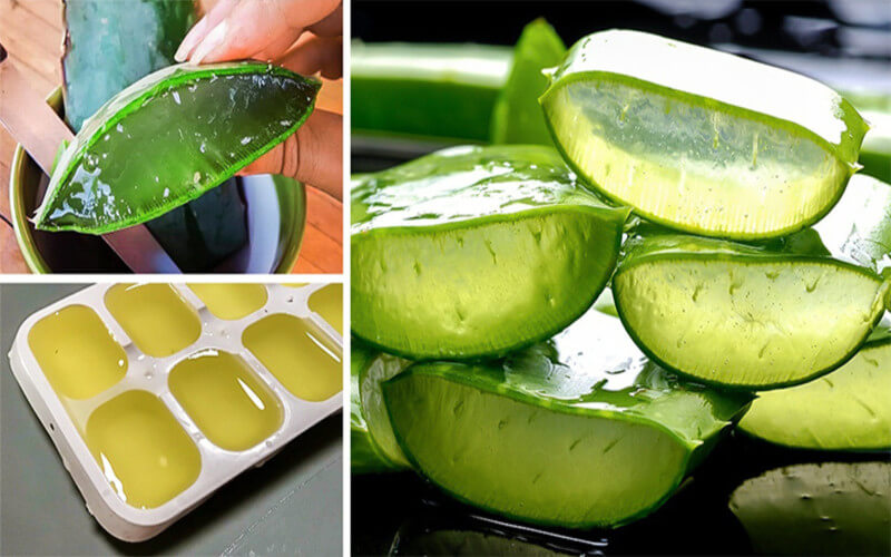 Voici Comment Couper Et Utiliser Le Gel D’une Feuille d’Aloe Vera