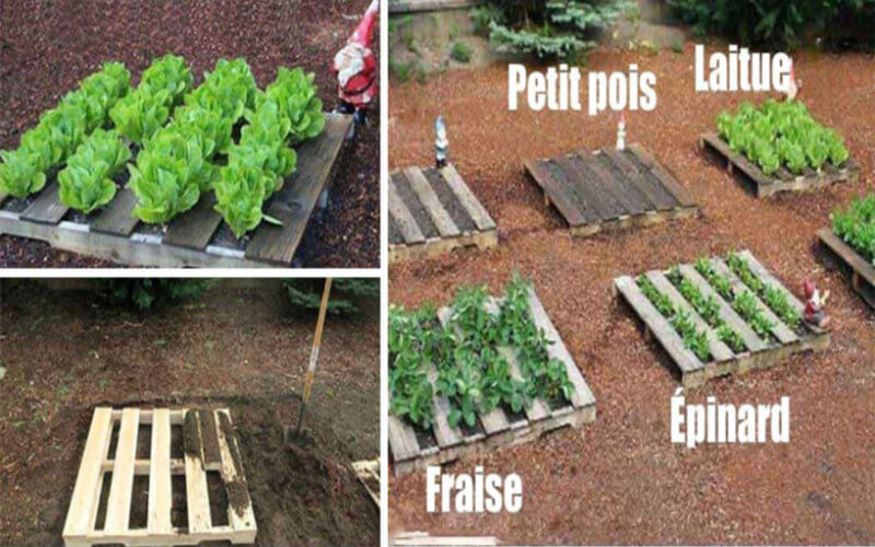 23 Astuces de Maraîcher Pour Réussir Son Premier Potager