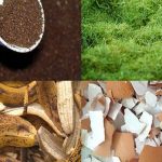 Les 7 Meilleurs Engrais à Faire Soi-même Pour le Jardin