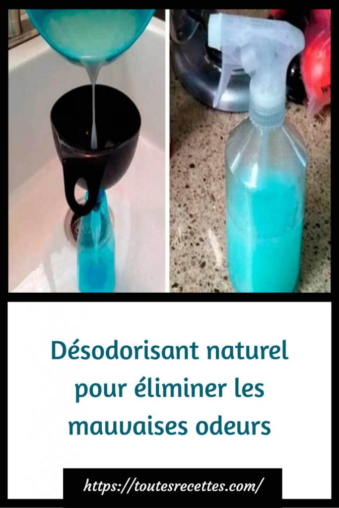 Efficace et Naturel : Le Désodorisant Maison Qui Élimine Vraiment