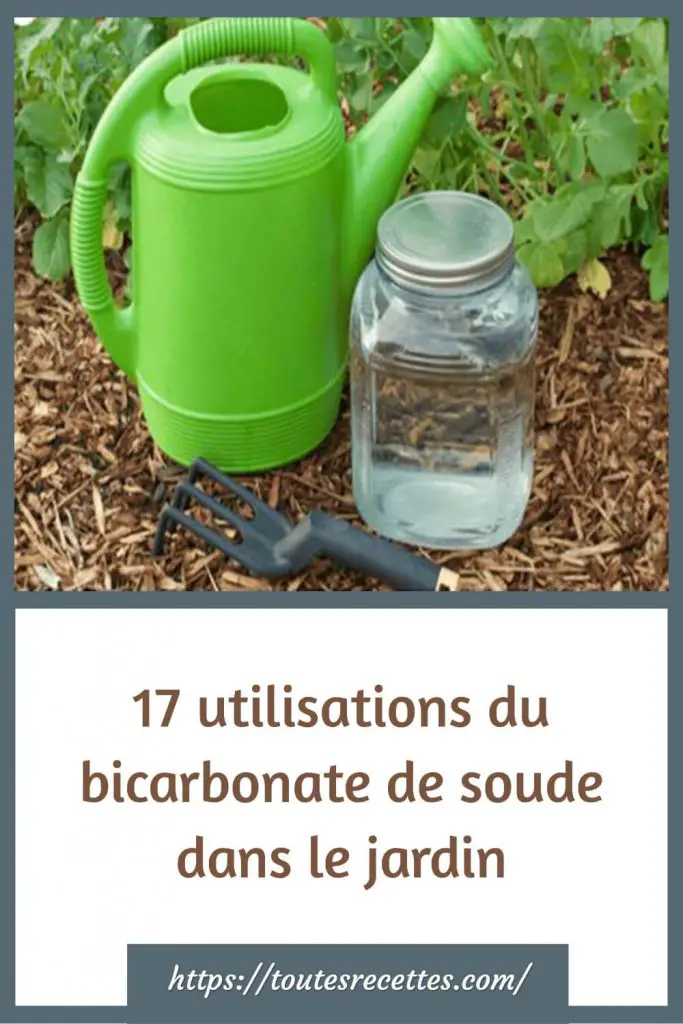 17 utilisations du bicarbonate de soude dans le jardin
