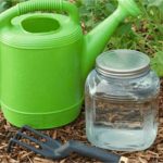 17 utilisations du bicarbonate de soude dans le jardin