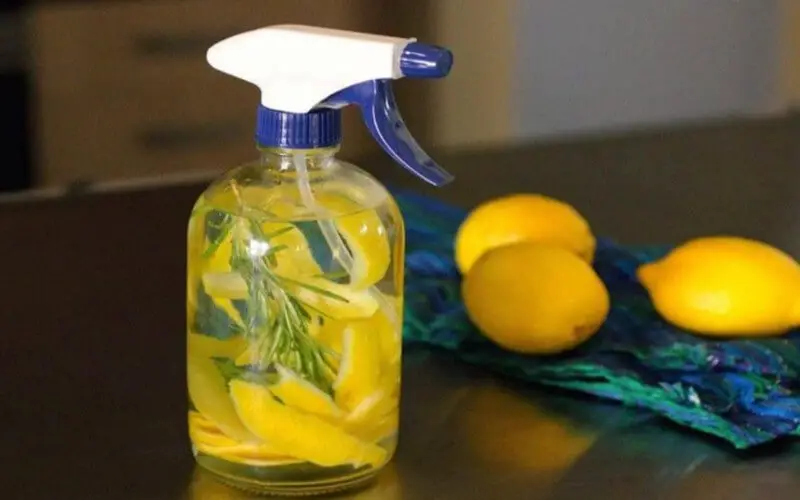 Comment utiliser le citron pour parfumer la maison