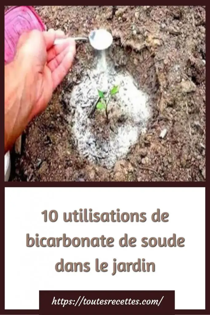 10 utilisations de bicarbonate de soude dans le jardin