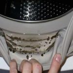 Comment éliminer les moisissures votre lave-linge