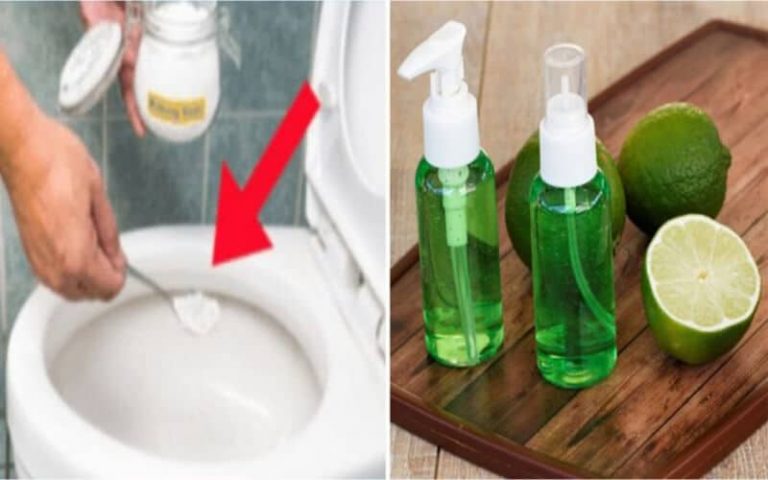 Comment fabriquer naturellement un désodorisant toilette