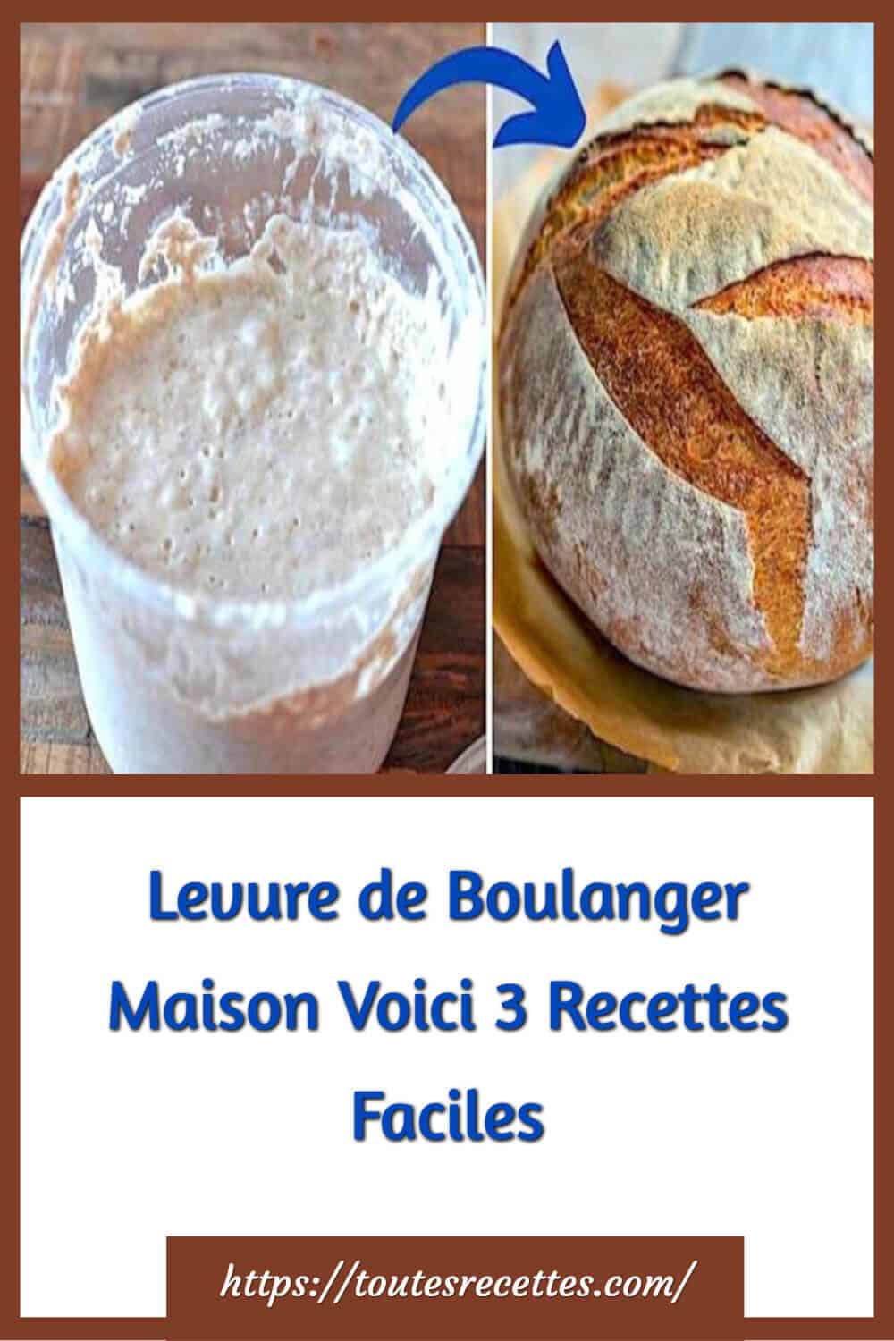 Levure de Boulanger Maison Voici 3 Recettes Faciles Toutes Recettes
