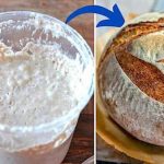 Levure de Boulanger Maison Voici 3 Recettes Faciles