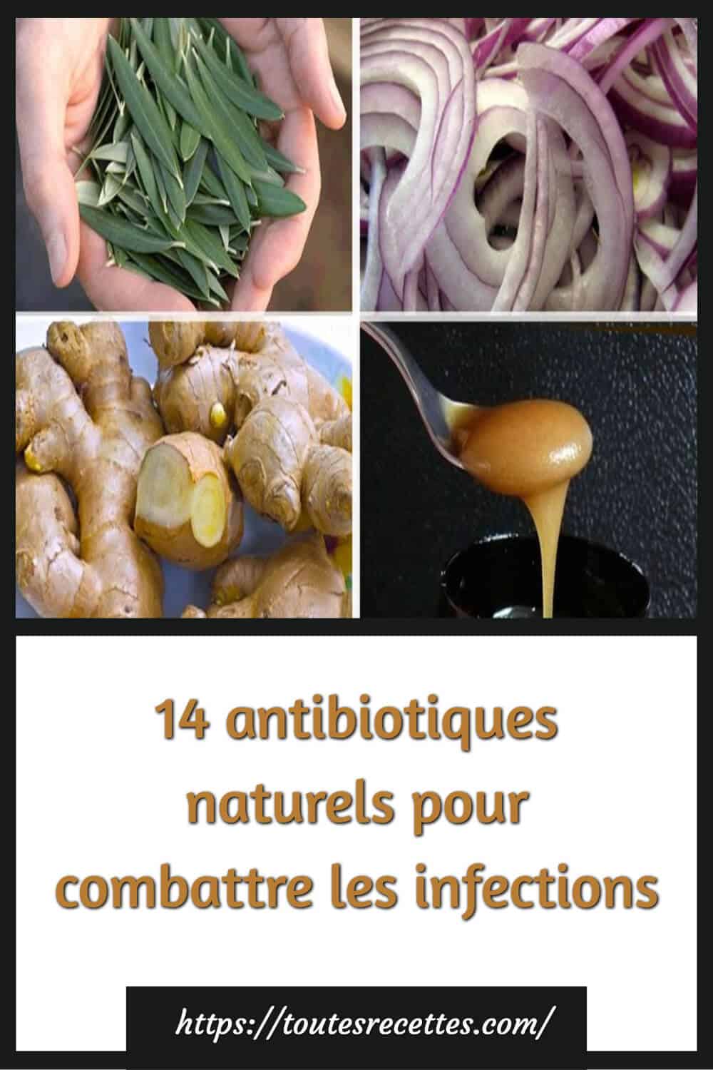 Complément Liquide Naturel Pour Chats - Soutien Peau, Pelage, Digestion - Saveur Poulet - 60ml (antibiotique Naturel) - 11
