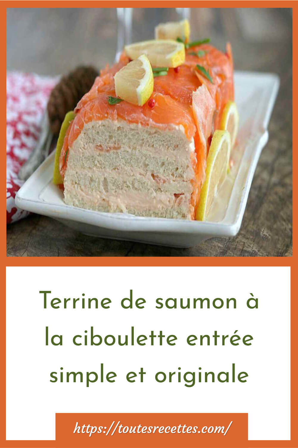 Terrine de saumon à la ciboulette entrée simple et originale Toutes