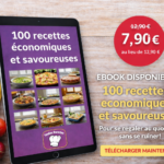 100 recettes économiques et savoureuses